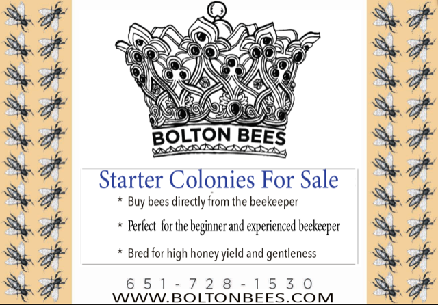 2026-01-BoltonBees